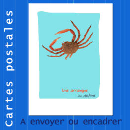 Présentation CP arraignée