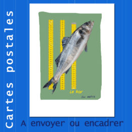 Présentation CP barre au mètres