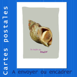 Présentation CP bulot