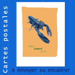 Présentation CP homard