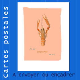 Présentation CP langoustines