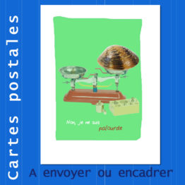 Présentation CP palourde