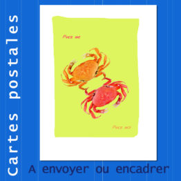 Présentation CP pince mi