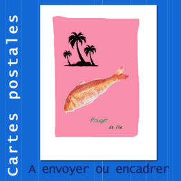 Présentation CP rougets