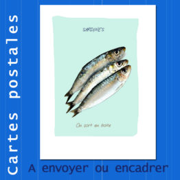 Présentation CP sardines