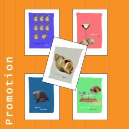 visuel promo 5 coquillages