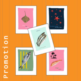 visuel promo 5 poissons